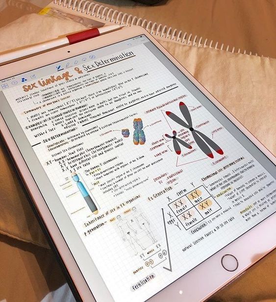 Idear Template Goodnotes 12