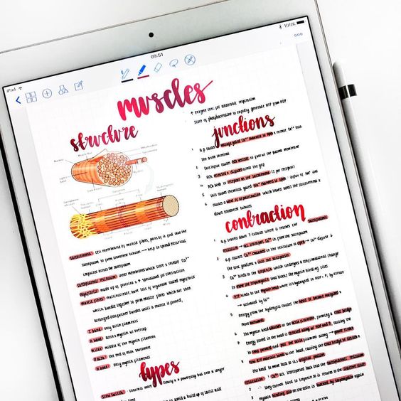 Idear Template Goodnotes 14