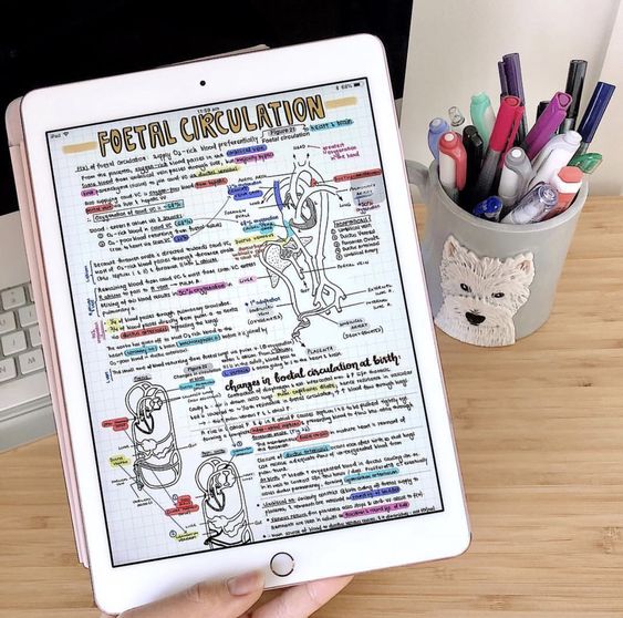 Idear Template Goodnotes 17