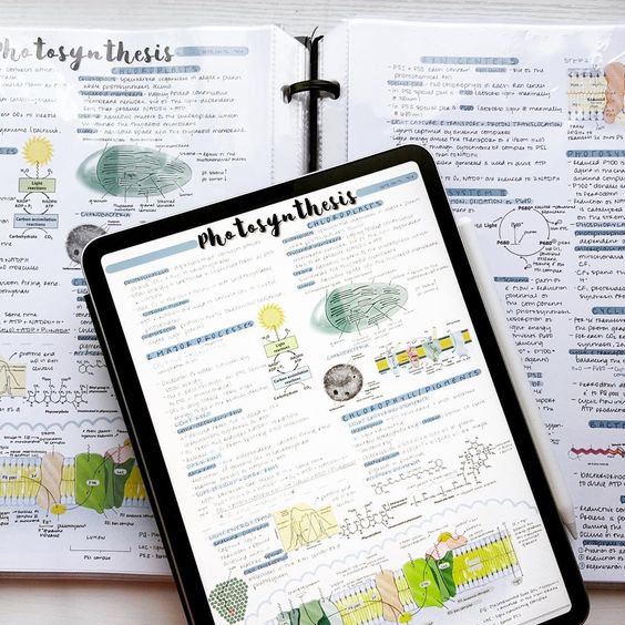 Idear Template Goodnotes 19