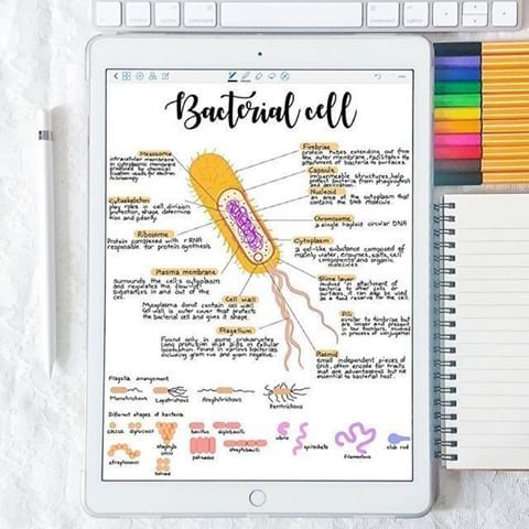 Idear Template Goodnotes 20