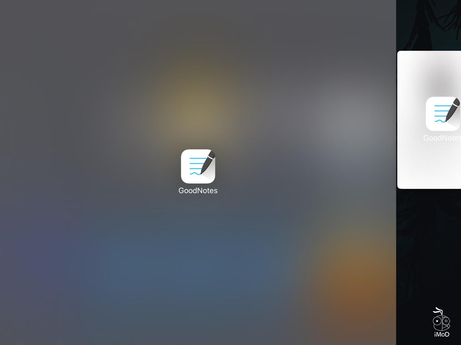 05 Split View Goodnotes 7