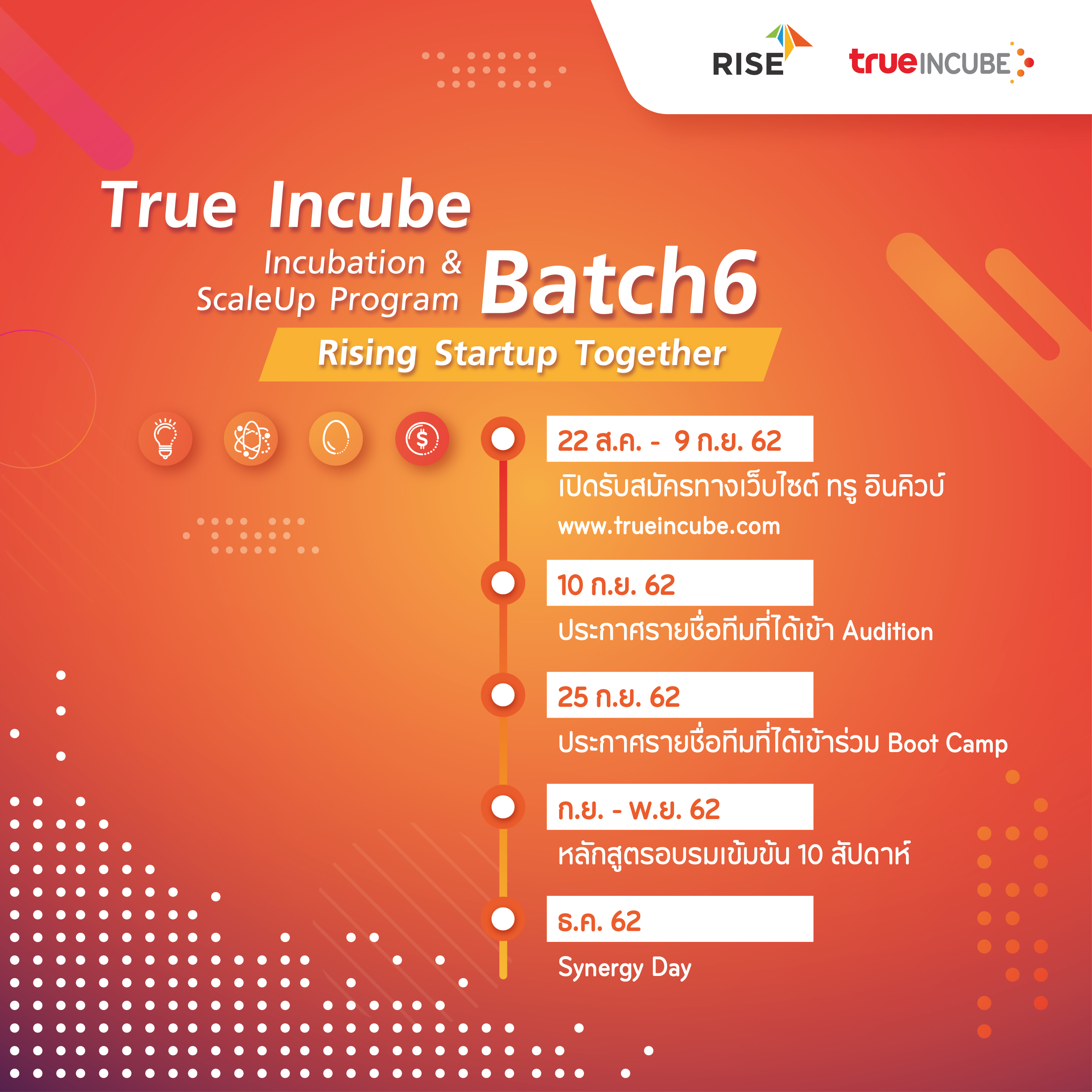 True Incube Batch 6 2