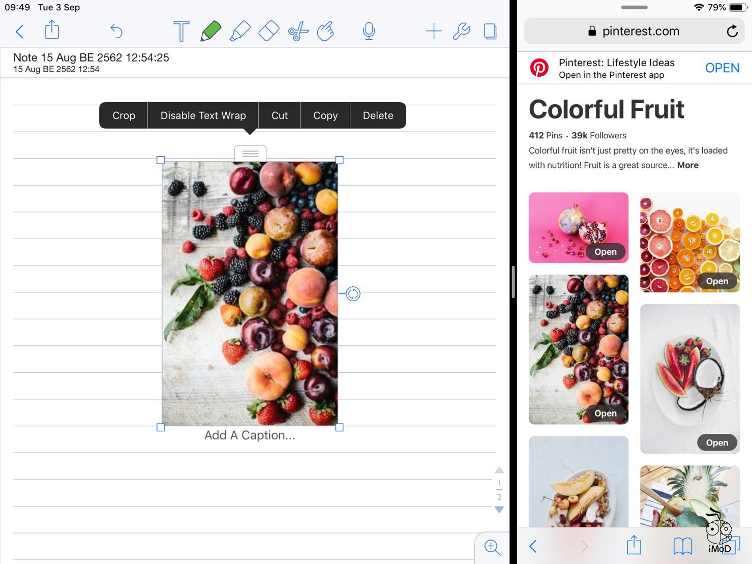 How To Use Pic And Data From Google And Safari 04