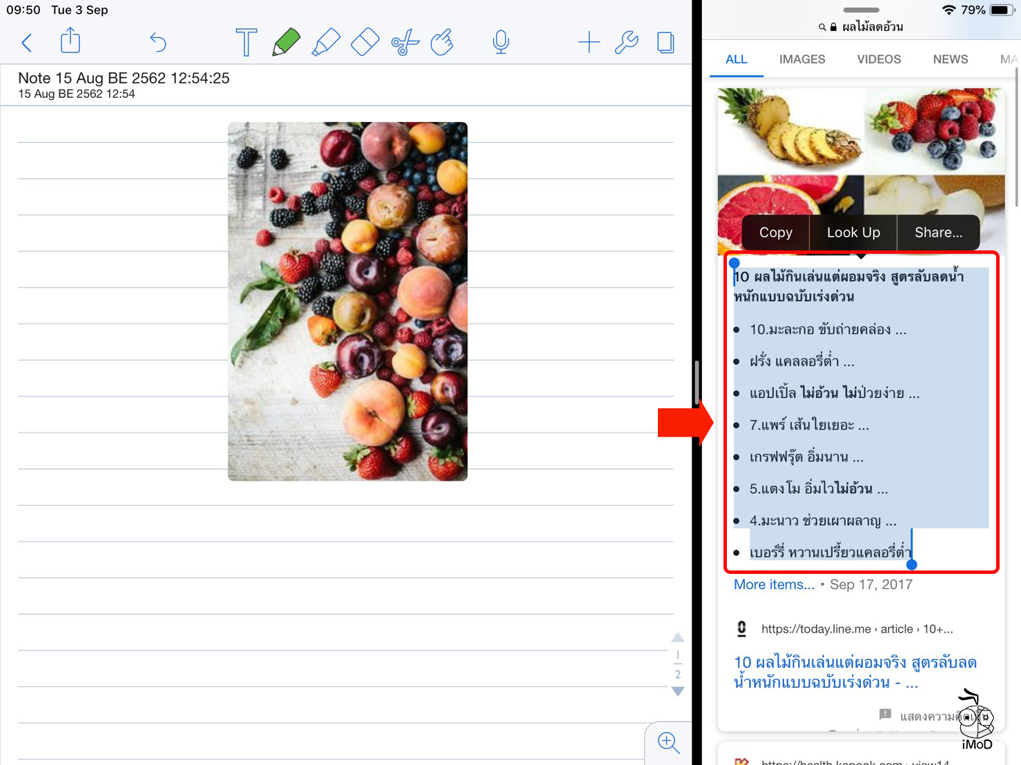 How To Use Pic And Data From Google And Safari 05