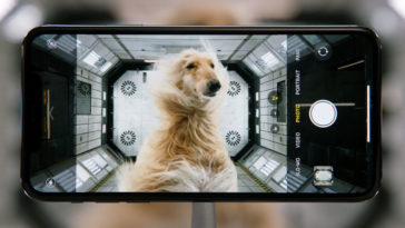 Iphone 11 Pro Camera