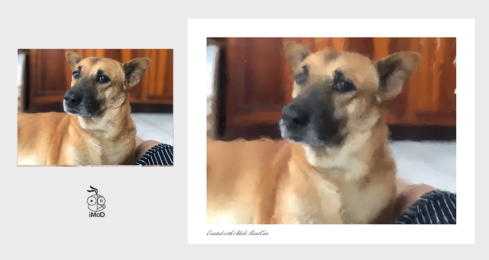 Review Adobe Paintcan 06