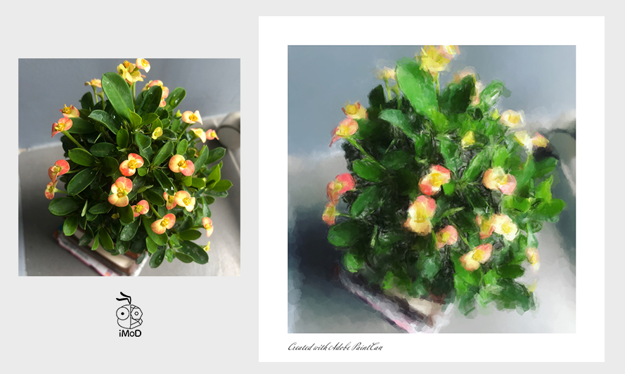 Review Adobe Paintcan 07