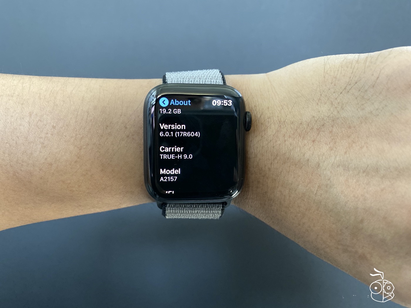 Apple Watch Series 5 Watchos 6.0.1