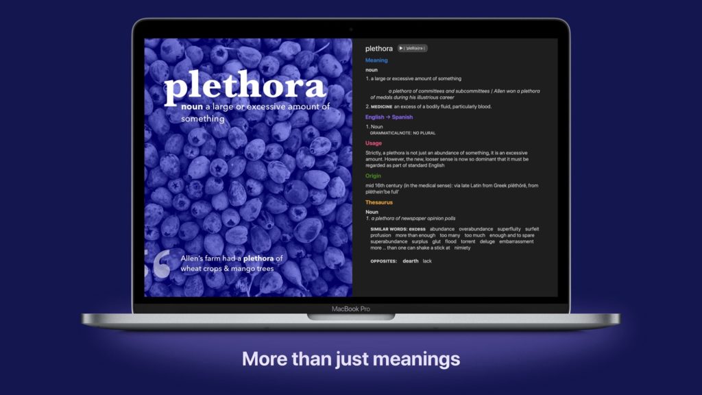 Ipad App Support Mac Catalyst 2