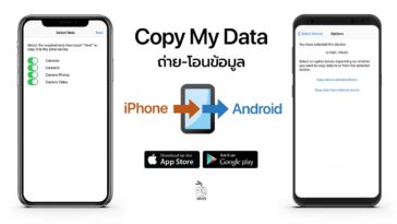 Copy My Data Cover