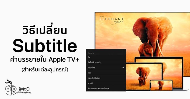 subtitles on apple tv subtitles on apple tv