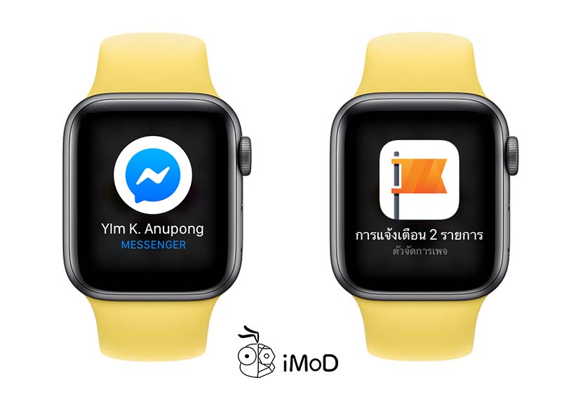 How To Setting Notification Privacy In Apple Watch 3