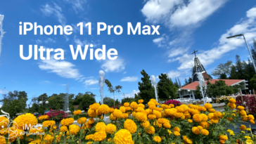 Iphone 11 Pro Max Ultrawide Outdoor Photo