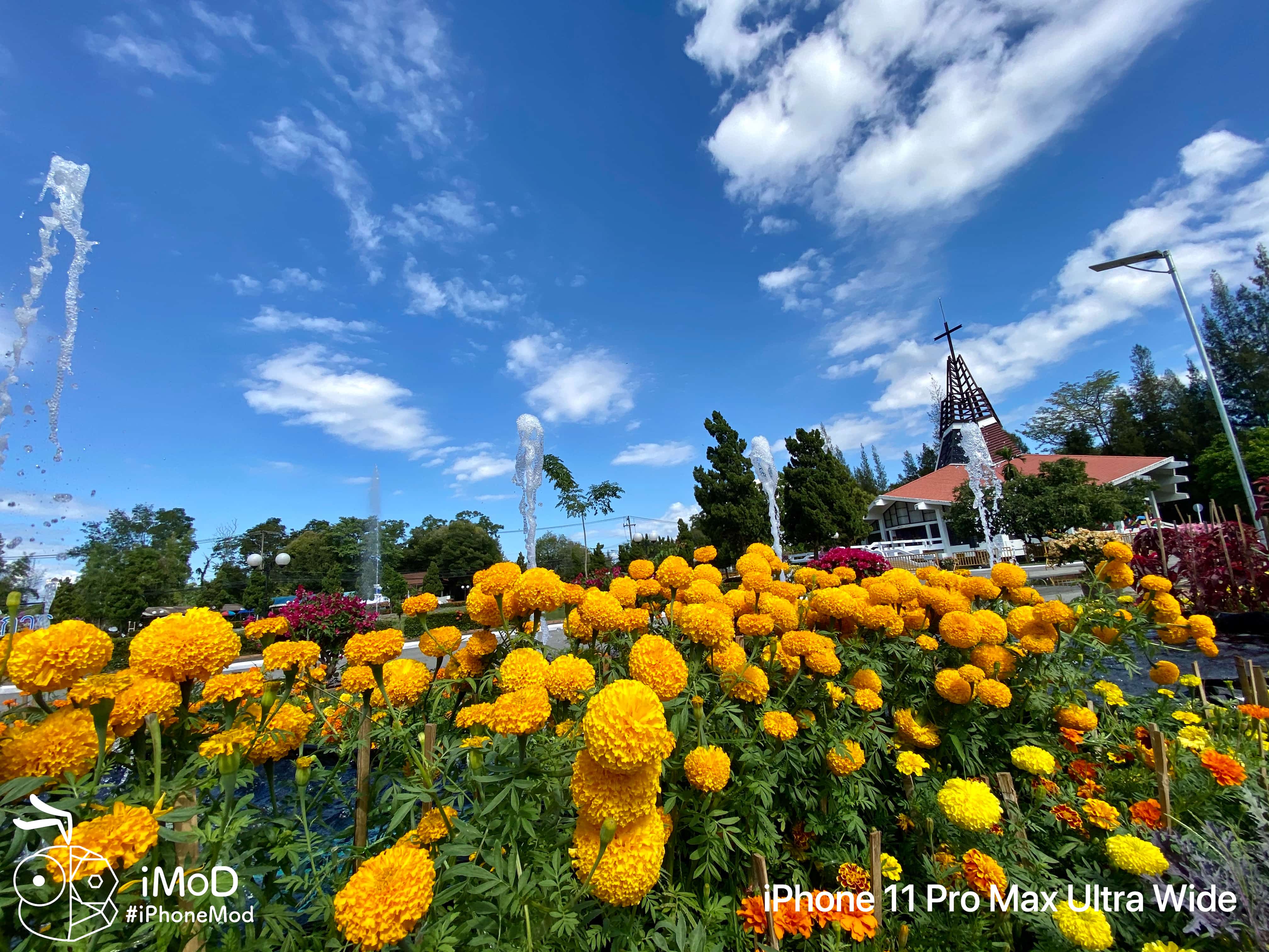 Iphone 11 Pro Max Ultrawide Outdoor Photo Img 12