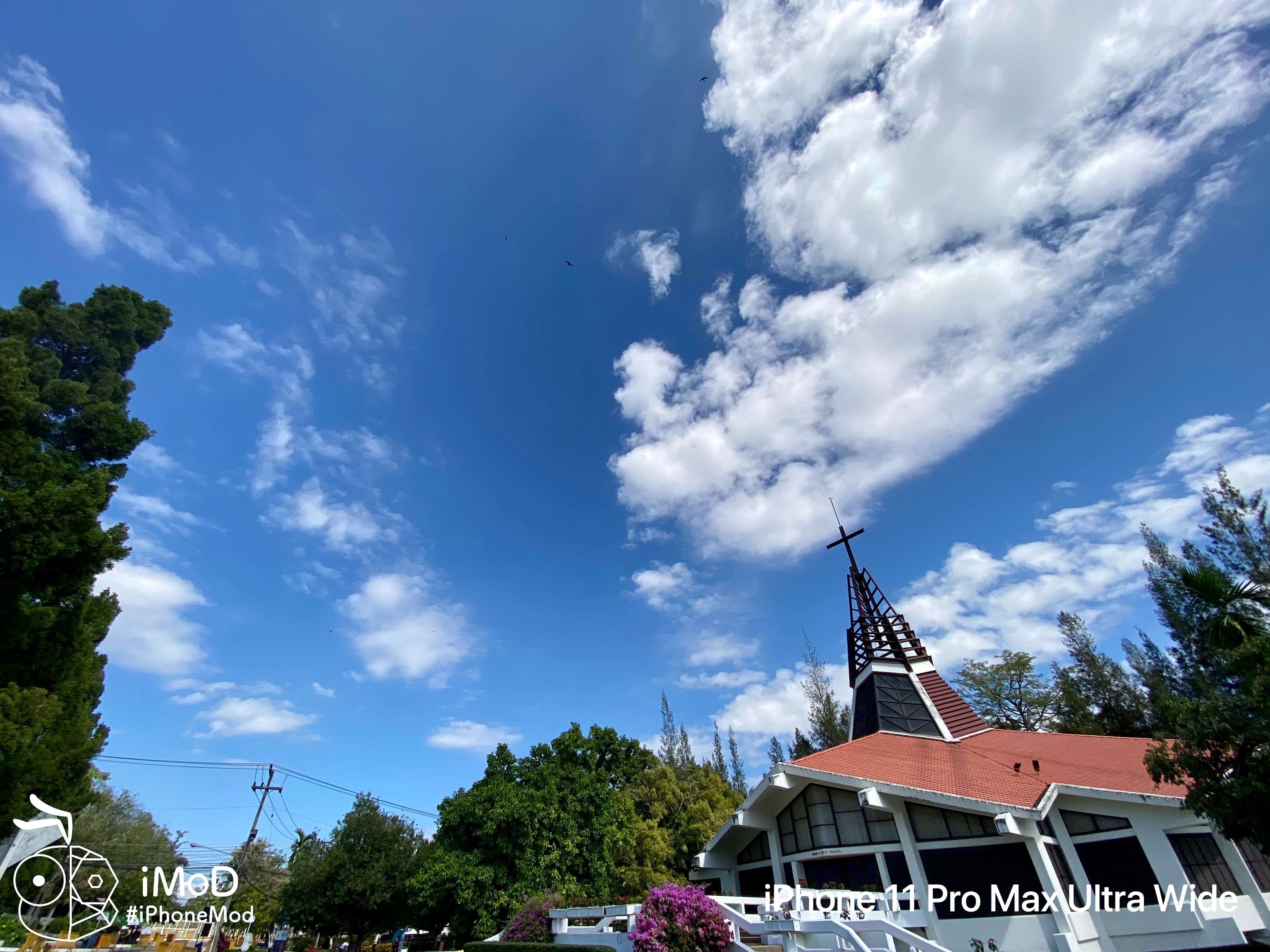 Iphone 11 Pro Max Ultrawide Outdoor Photo Img 6