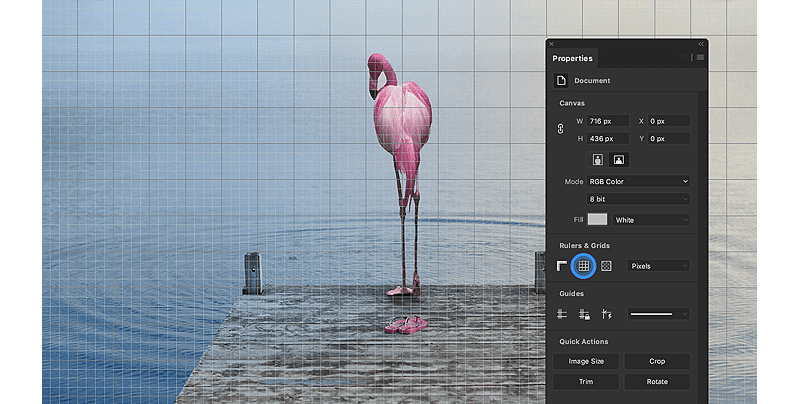 Photoshop 2020 Mac Released Img 5