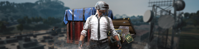 Pubg Mobile Subscription Hero