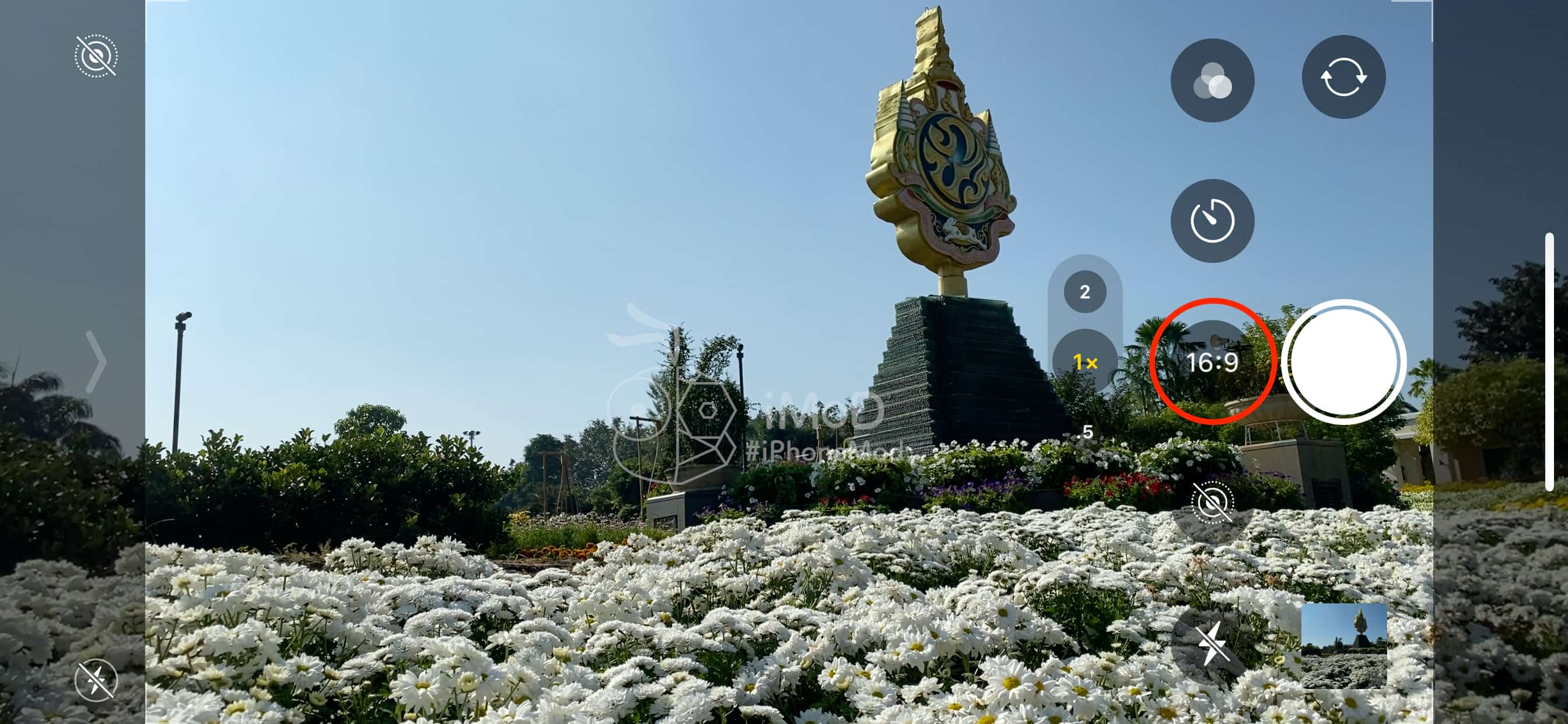 Shot Photo 16 9 Aspect Ratio Iphone 11 Img 3