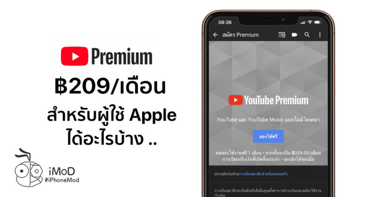 Youtube Premium For Apple User Preview