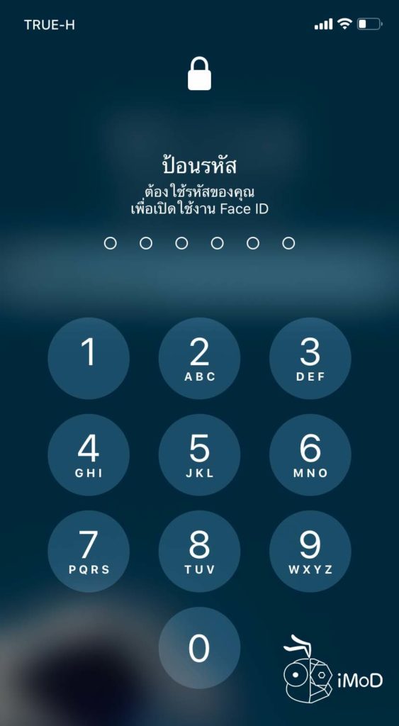 Learning Abount Privacy Security In Iphone Ipad 5