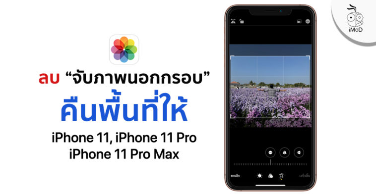 Reduce Iphone 11 Space Capture Content Outside The Camera