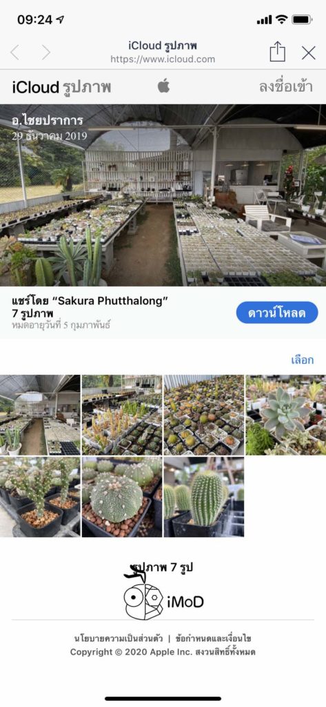 How To Share Photos Icloud Link Iphone Ipad Ios13 Ipados 4