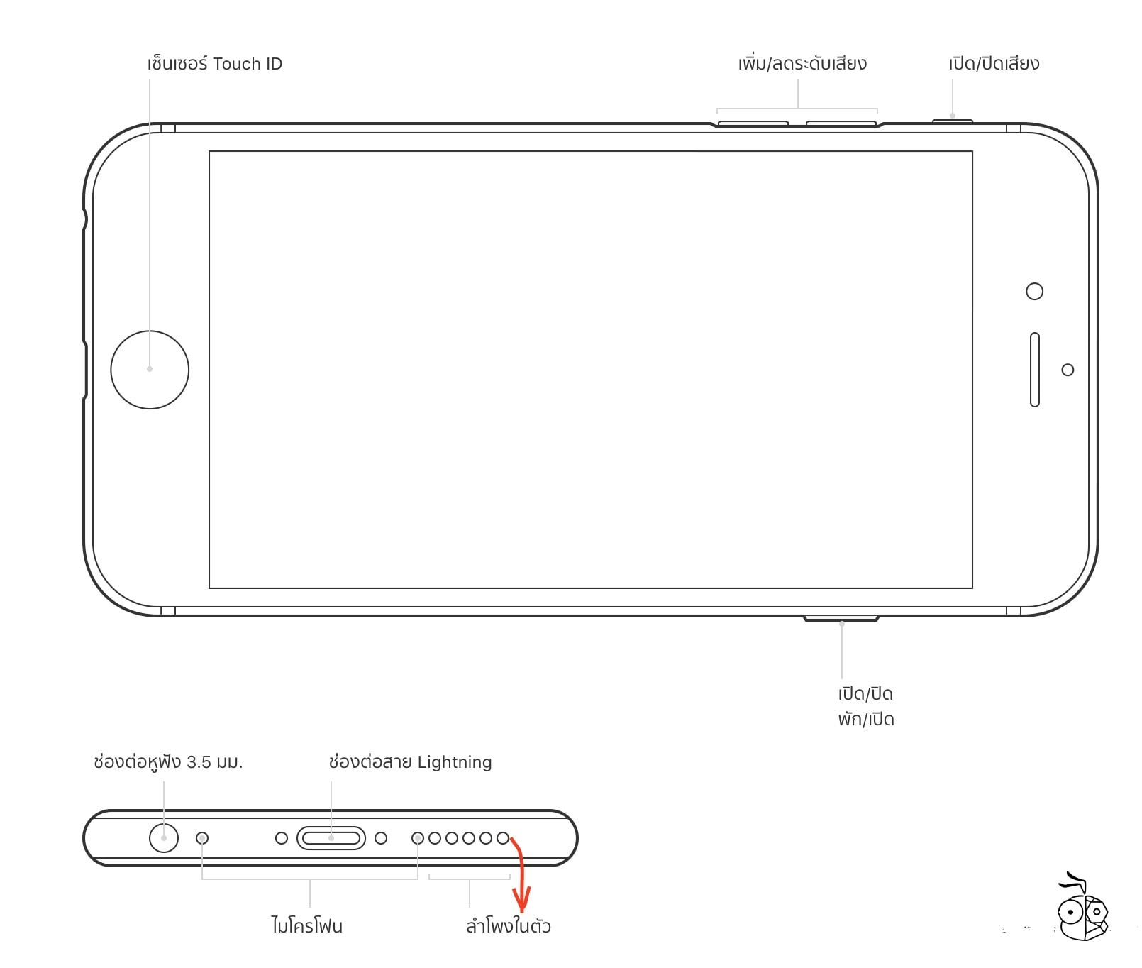 Iphone 6s 6 5s 5 Se ตำแหน่งลำโพง Speaker