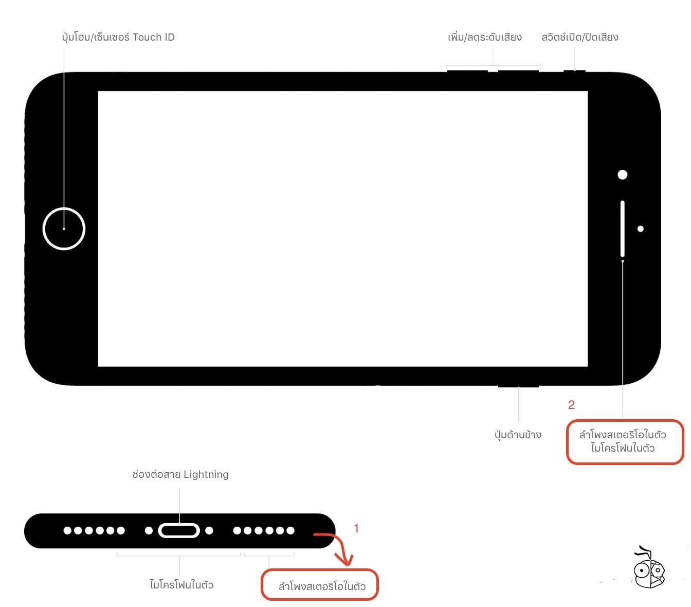 Iphone 7 8 ตำแหน่งลำโพง Speaker