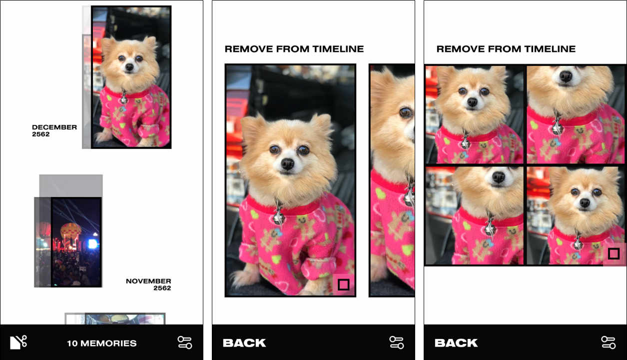 Polarr Memoir Content2