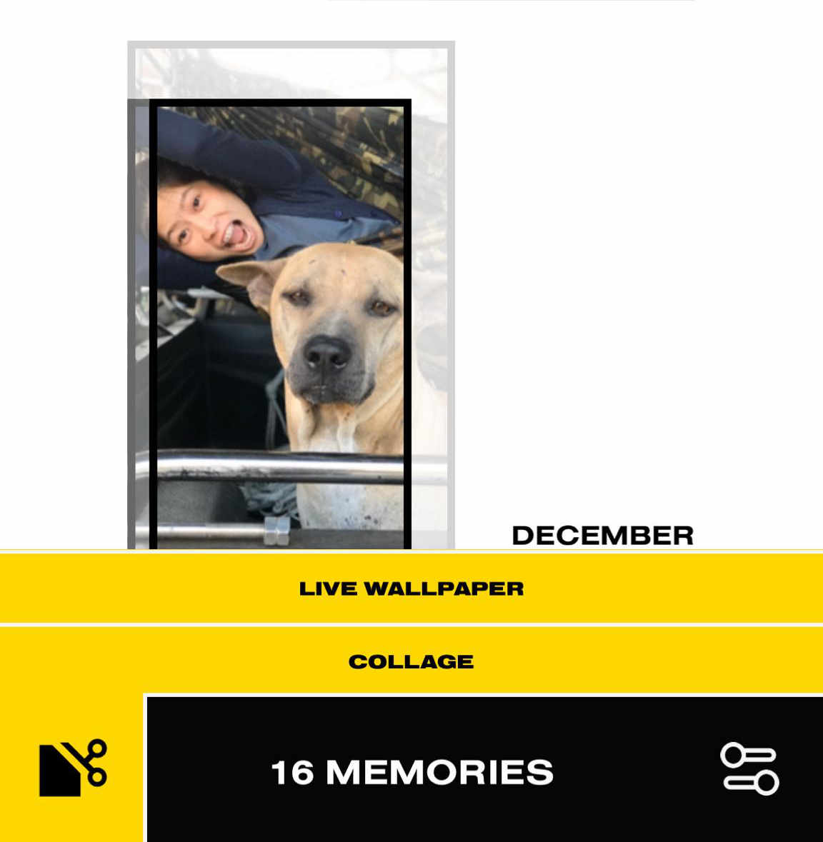 Polarr Memoir Content4