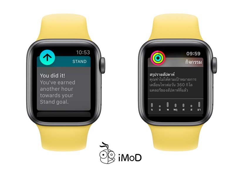 10 Settings Suggest For New Apple Watch 15