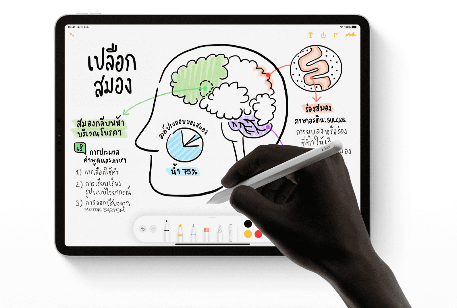Ipados 14 May Support Convert Handwriting To Type Text Img 2