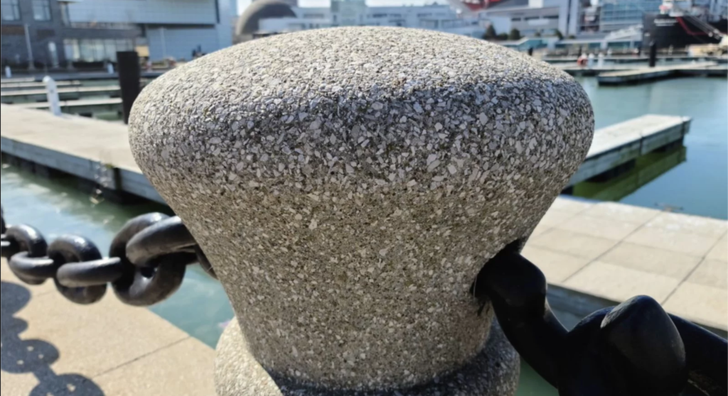 Iphone 11 Pro Max Vs Samsung Galaxy S20 Ultra Camera Comparison 9