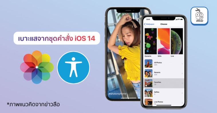 Wallpaper Category Setting Accessibility Improve And More Ios 14 Code Report