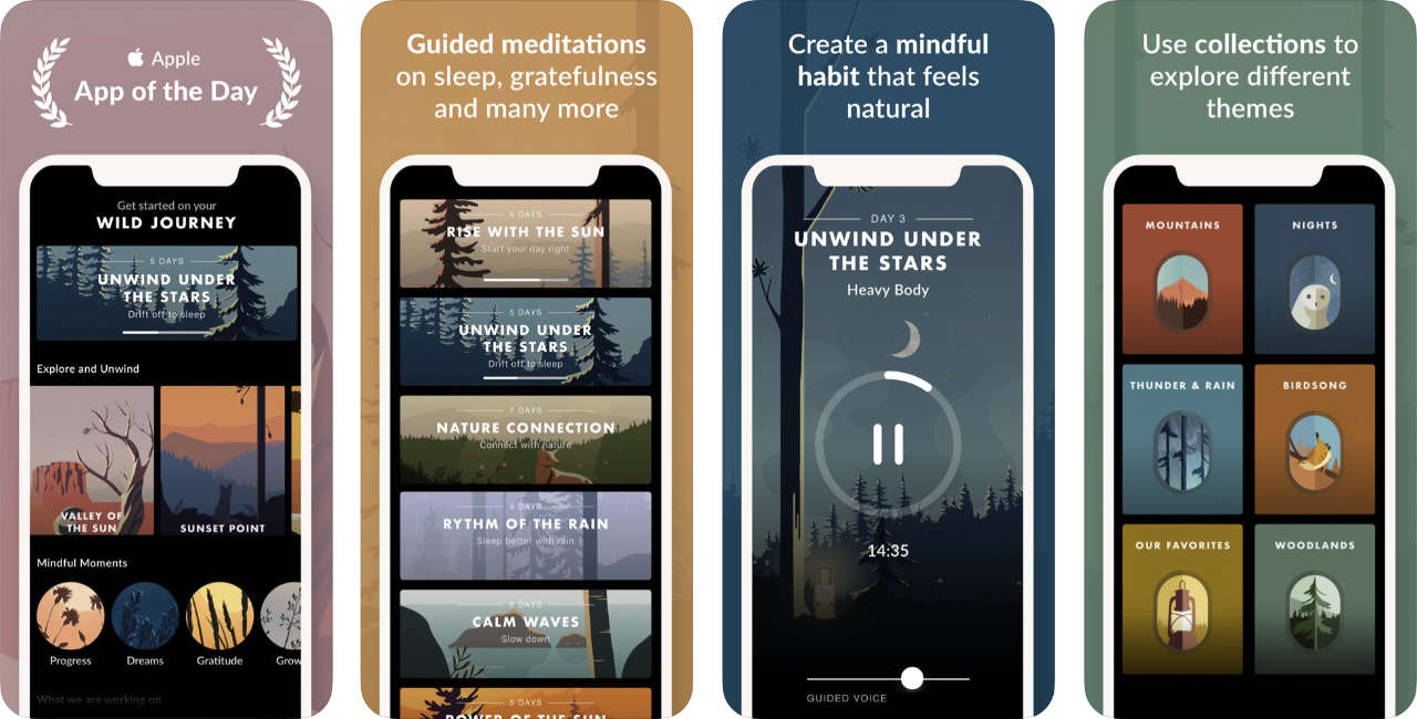 Wild Journey Content1