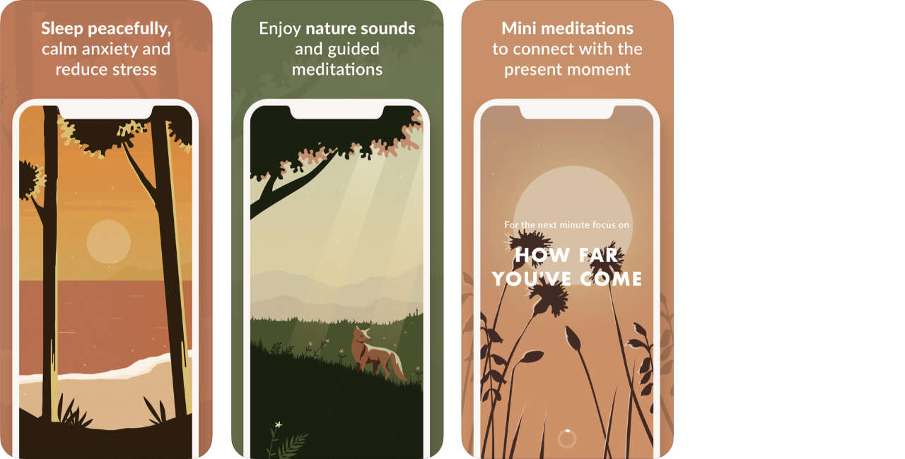 Wild Journey Content2