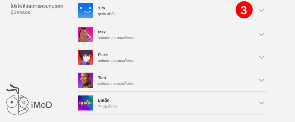 How To Setting Pin Passward For Access Netflix Profile 4