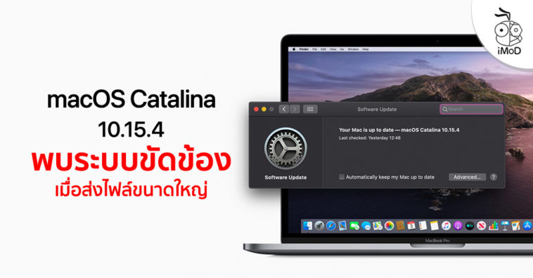 Macos Catalina 10 15 4 Crashing Issue