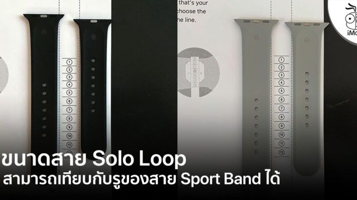 solo loop fit