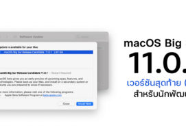Apple ปล่อยอัปเดต macOS Big Sur 11.0.1 Beta 1 สำหรับนักพัฒนา