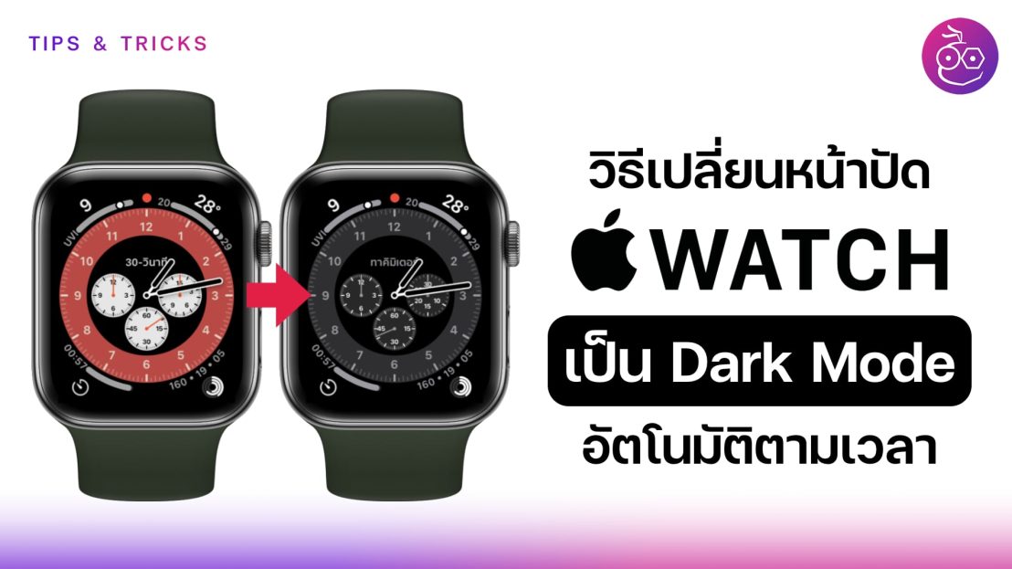 แสดงข้อมูลนับก้าวเดินบนหน้าปัด Apple Watch จากแอป Pedometer++