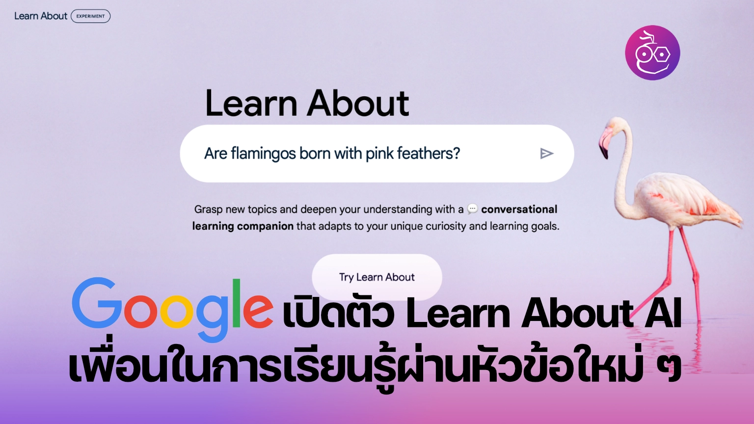 Google เปิดตัว Learn About AI เพื่อนในการเรียนรู้ผ่านหัวข้อใหม่ ๆ